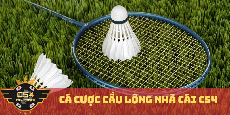 ca-cuoc-cau-long-nha-cai-c54-la-gi